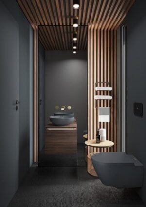 Viconnect Flush Plate for Dual Flush | Villeroy & Boch | Black - Image 3