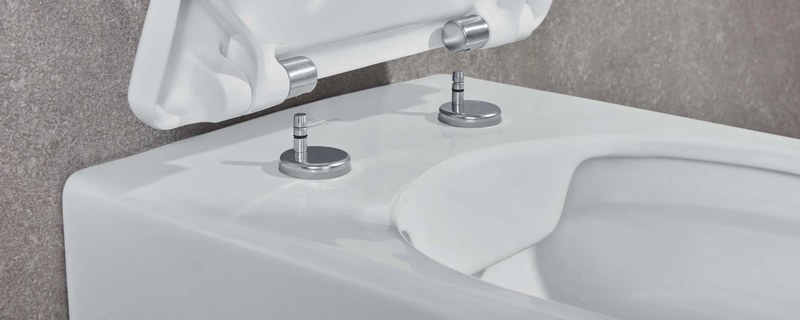 Close-up of top-fix toilet seat hinges on a Villeroy & Boch pan